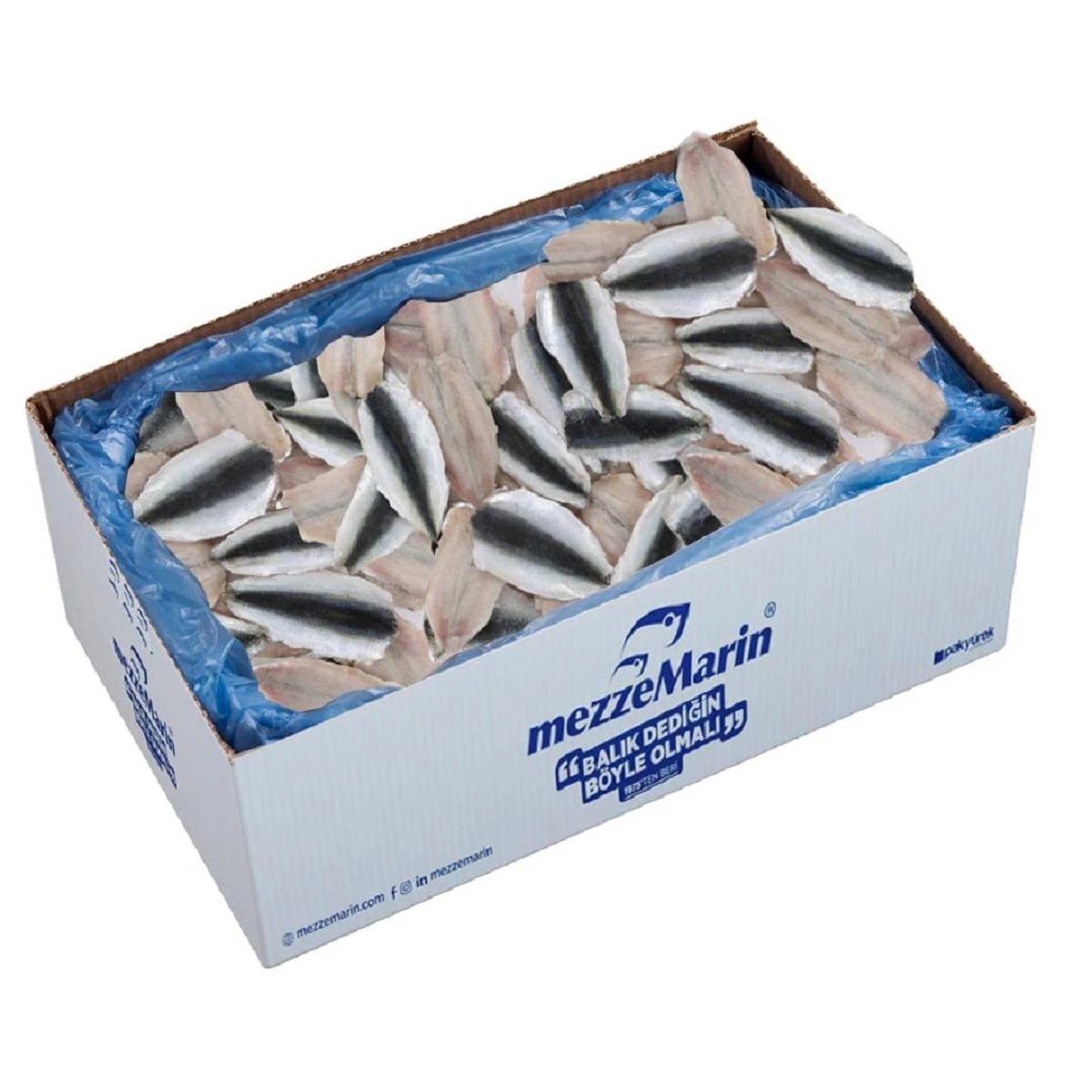 Sardalya Fileto Donuk Dökme